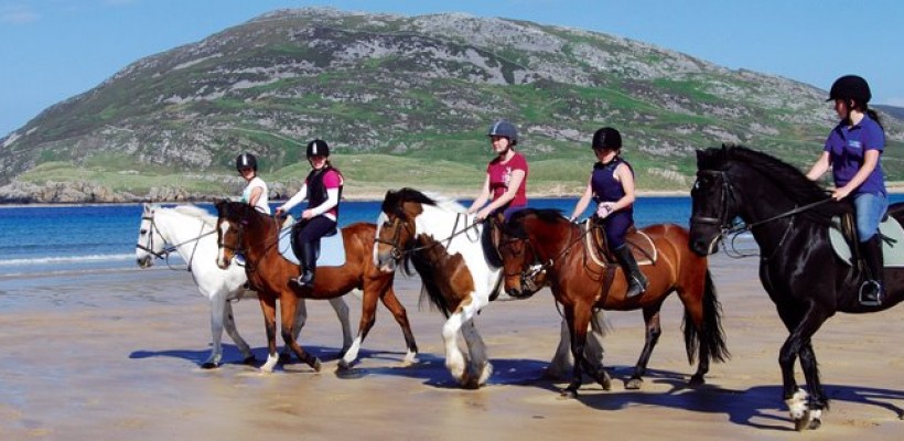 Tullagh Bay Equestrian Centre Tullagh Bay Equestrian Centre